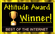 1ATTITUDE.gif (15655 bytes)